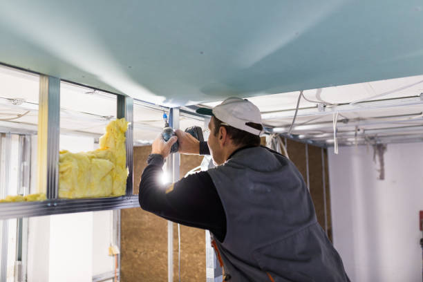 Best Fiberglass Insulation in Mila Doce, TX