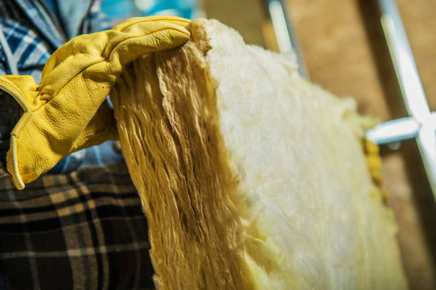 Best Spray Foam Insulation in Mila Doce, TX