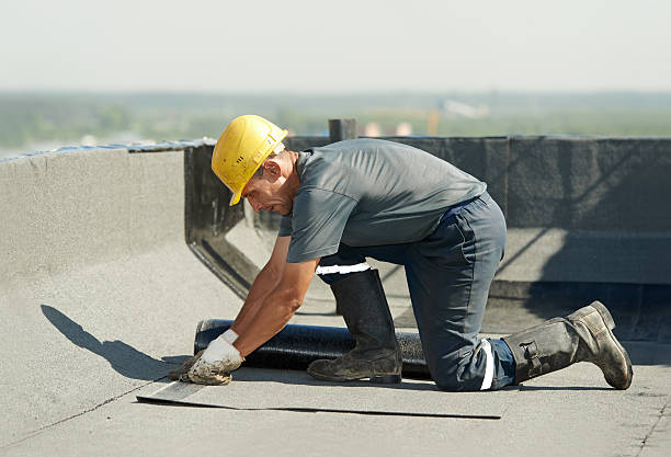 Best Cellulose Insulation in Mila Doce, TX