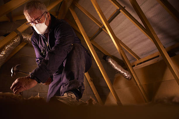Best Eco-Friendly Insulation in Mila Doce, TX